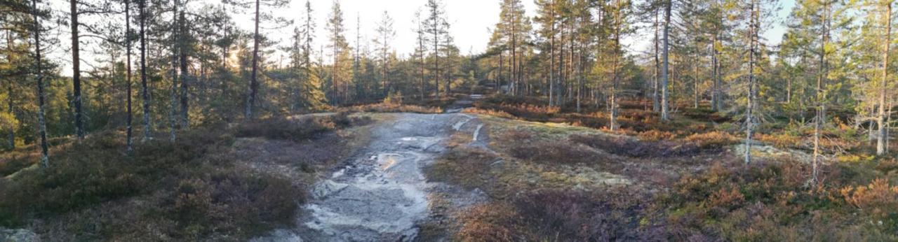 Hyttingsfabodstugor Borlange Bagian luar foto