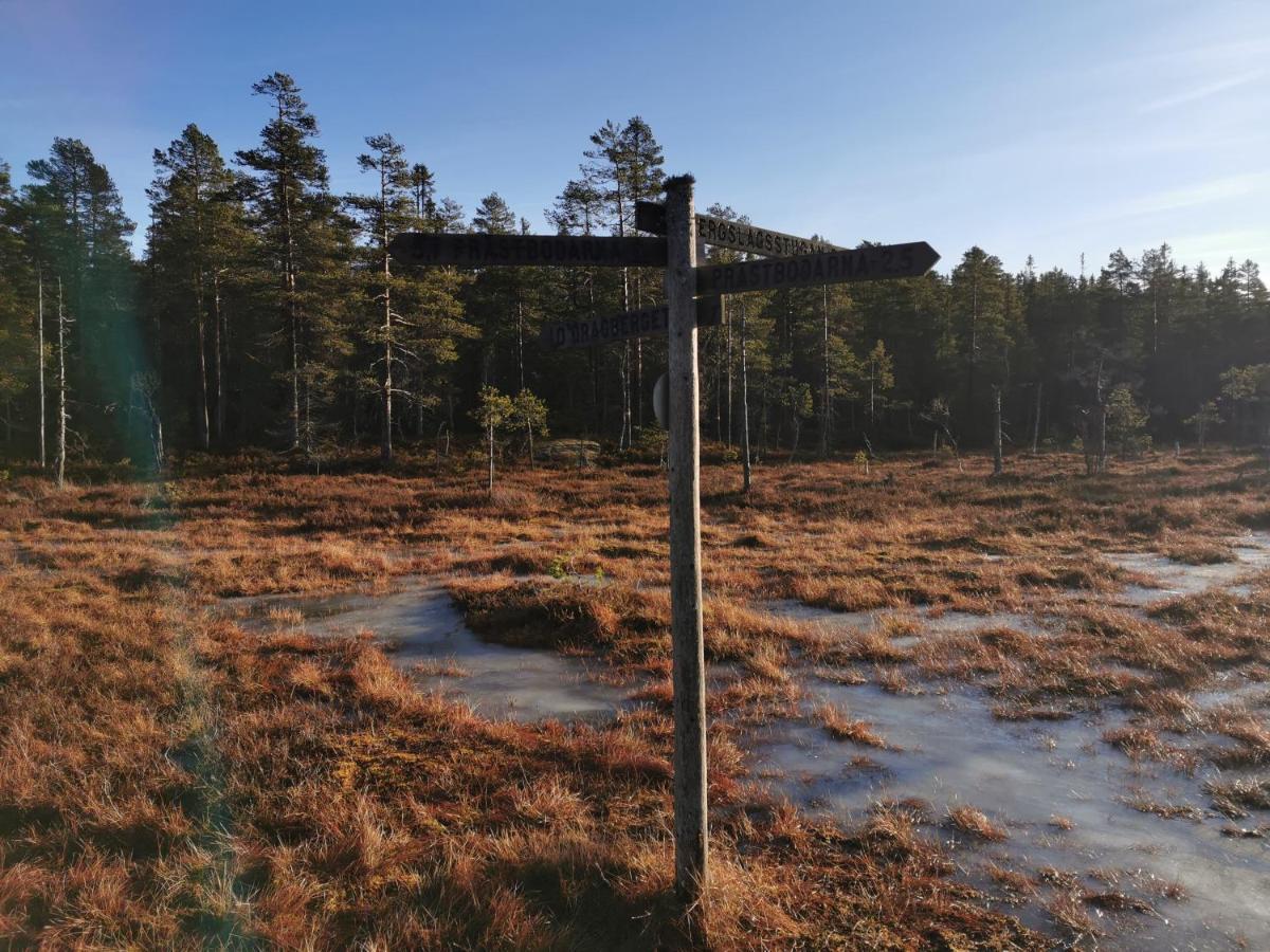 Hyttingsfabodstugor Borlange Bagian luar foto